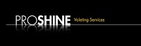 ProShine Valeting Services 279688 Image 0